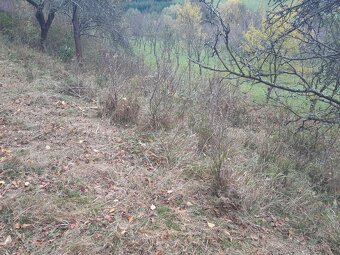 Sečení a mulčování trávy - 3