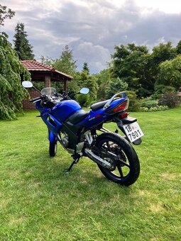 Honda CBR 125 2004 - 3