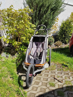 Thule Chariot CX1 - 3