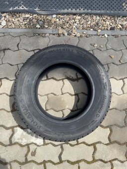 Barum Polaris 5 185_65 R14 - 3