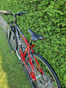 Kolo Kellys Cross trek - 3