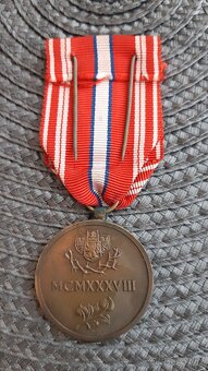PAMĚTNÍ ODZNAK PRO DOBROVOLCE Z LET 1918 - 1919 - 3
