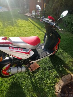 Kentoya Sharky 50ccm - 3