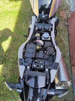 Ducati Scrambler 1100 - 3
