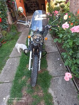 Prodej Jawa 650 - 3