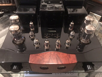 Elektronkový zesilovač Yarland Audio Ariand Auklet 88 - 3