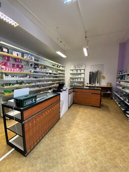 Pronájem obchodních prostor Uherský Brod - Seichertova - 3