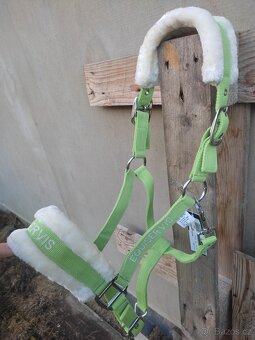 Zelená ohlávka s beránkem i obyčejná nylonová - 3