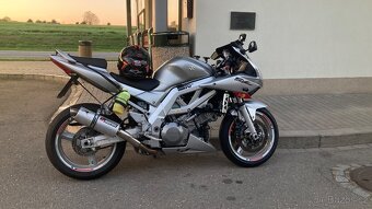 Suzuki SV1000 - 3