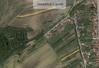 Prodej pole v k.ú. Nikolčice - 3
