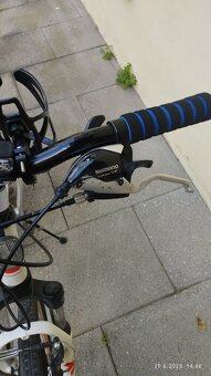 kolo 24" Leader Fox - 3