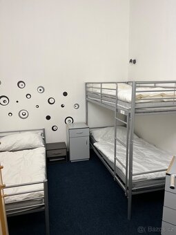 Pronájem samostatného pokoje v Holicích - 3