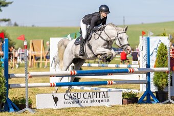 PONY TYP B NA PRODEJ - 3