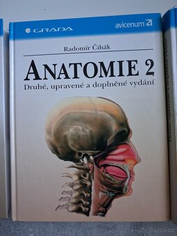 Anatomie - 3