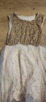 Třpytivé šaty - 3