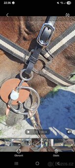 Udidlo BERIS Thiedelman ( Kimblewick ) - 3