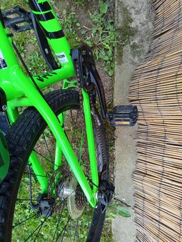 Kolo mongoose fireball 2018 - 3
