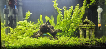 2x Akvarium (37,5l+12l) Technika | Testy | Leciva | Krmivo - 3