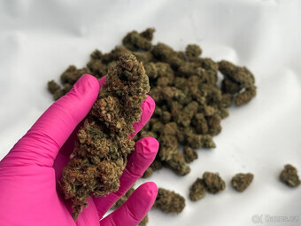 CBD sušené květy - 3