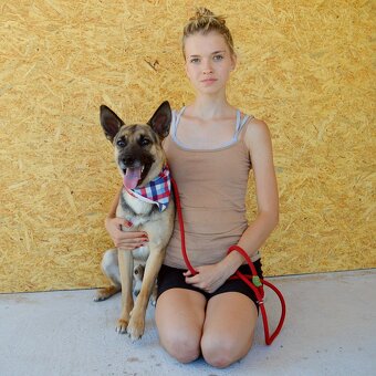 Norton hledá domov - 3