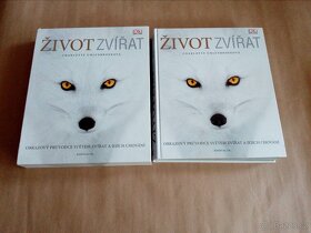 Charlotte Uhlenbroek - Život zvířat - 3