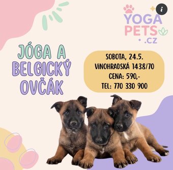Uzasny zazitek, voucher, vstupenka, stenata - 3