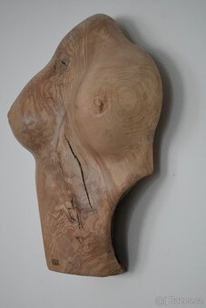 Originální prsa z pravého dřeva - 3