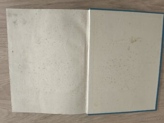 Das Ende Östrerreichs - 3