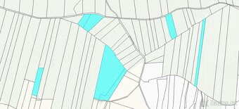 Prodej lesních pozemků 31ha - 3