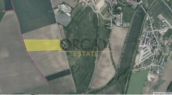 Zemědělský pozemek Holubice, 16840 m2 - 3