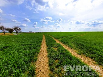 Prodej pozemků o celkové rozloze 27281 m² - 3