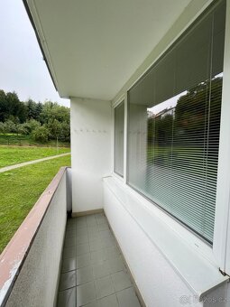 Pronájem bytu 1+1 s balkonem, Žatec - 3