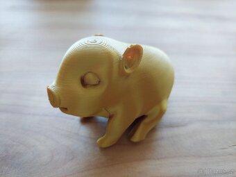 Když to vydržíš do večera nepapat, tak uvidíš zlaté prasátko - 3