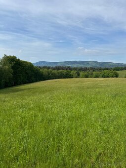 Prodám pozemky v katastrálním území Český Dub - louky - 3