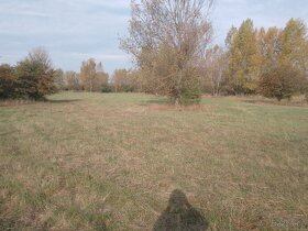Pozemek u jezera Pístník, přes 1,8 ha, blízko dálnice D8... - 3