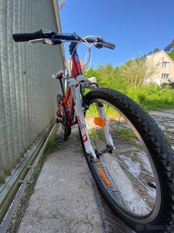 Kolo Junior 24 - 3