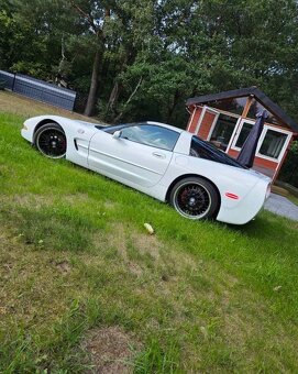 Chevrolet Corvette C5 TARGA 5.7 V8 - 3