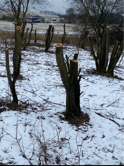 POZEMEK-KUNOVICE - 3