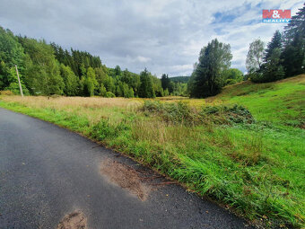 Prodej ostatní, 802 m², Pila - 3