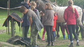 Letní stanový pobytový tábor s Hobby horse tématikou - 3