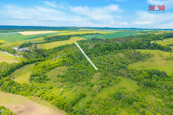 Prodej lesa, 2518 m², Chyňava - 3