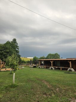 Ustájení koní - 3