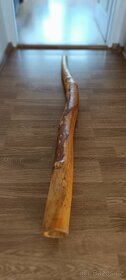 Didgeridoo - 3