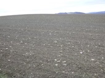 Pozemek v k.ú. Lípa nad Dřevnicí, ID 7207e 2805 - 3