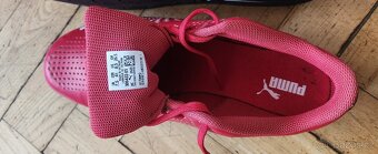 Puma - 3