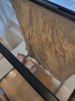 Terárium 45x45x62,5 cm - 3