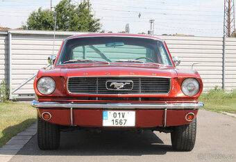 1966 Ford Mustang Fastback 289 V8, manuál, perfektní stav - 3