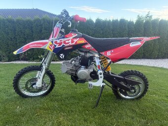 Pitbike YCF Pílot SF 155 - 3