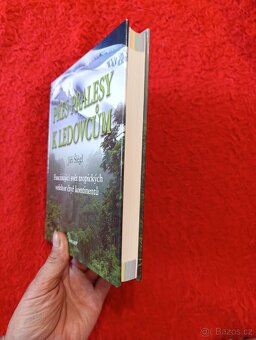 PŘES PRALESY K LEDOVCŮM - 3