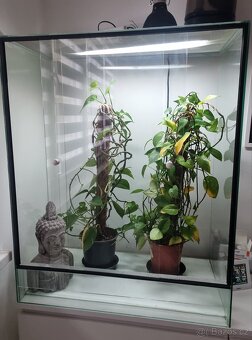 Terárium pro chameleóna š80, v100, h50 - 3